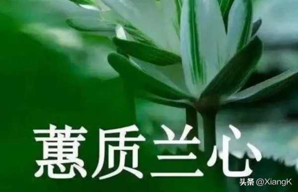 蕙质兰心啥意思解释(蕙质兰心的意思和出处)